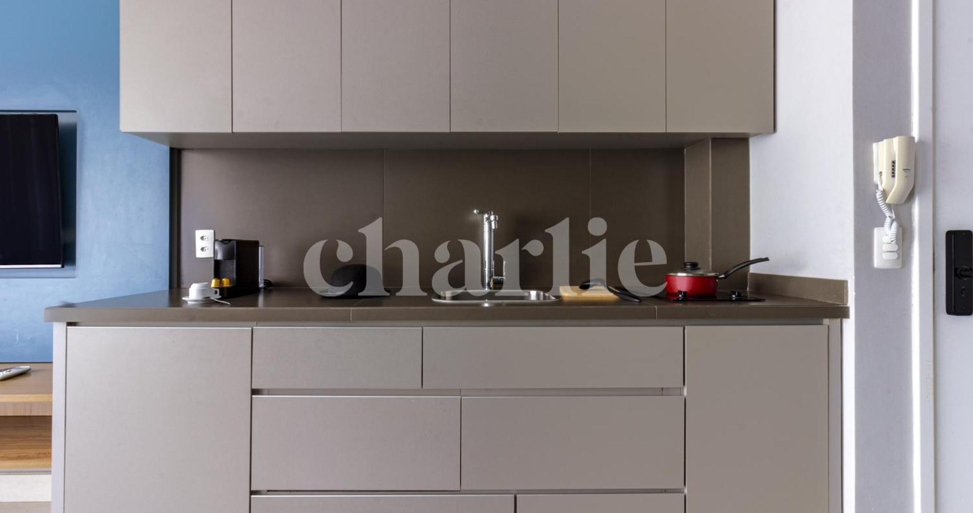 Charlie Itaim Apartment Сао Паоло Екстериор снимка